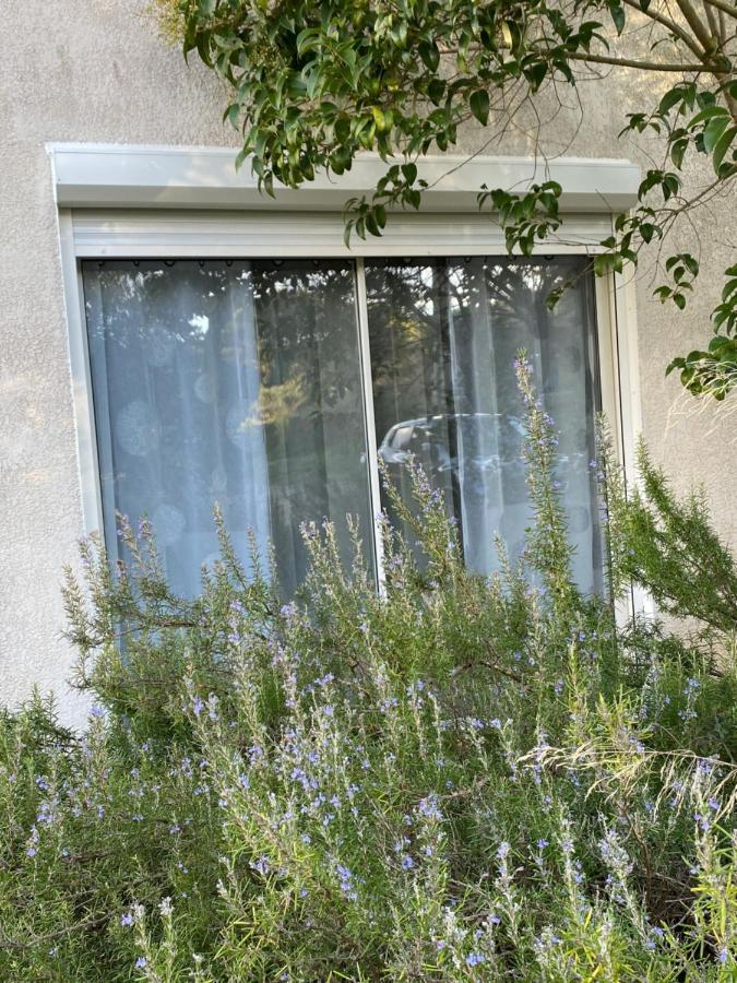 Mas Des Tournevents Bed & Breakfast Lézignan-Corbières Екстериор снимка