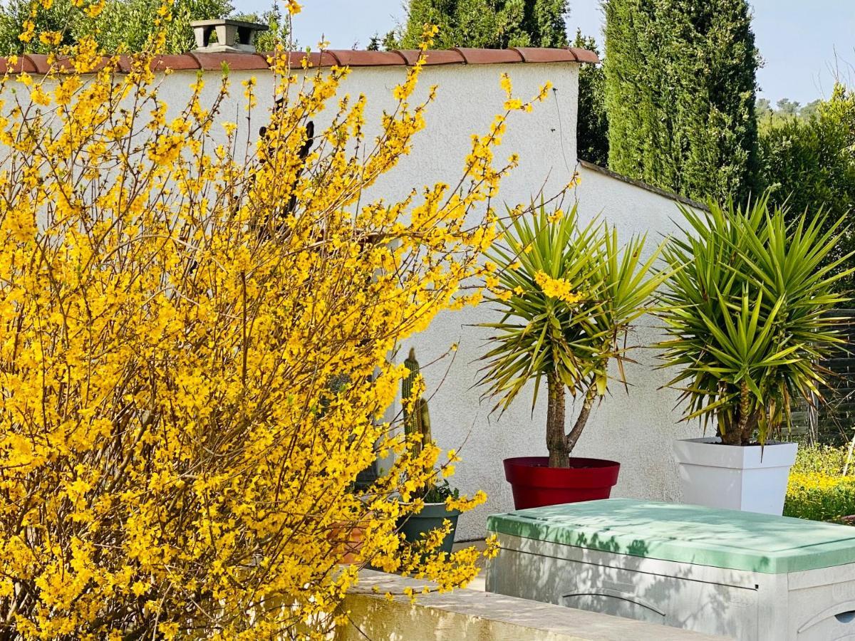 Mas Des Tournevents Bed & Breakfast Lézignan-Corbières Екстериор снимка