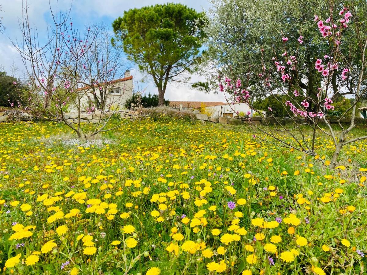 Mas Des Tournevents Bed & Breakfast Lézignan-Corbières Екстериор снимка